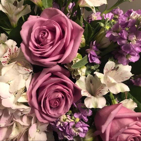 Meet your Posher, Jana - Picture 1 of 1